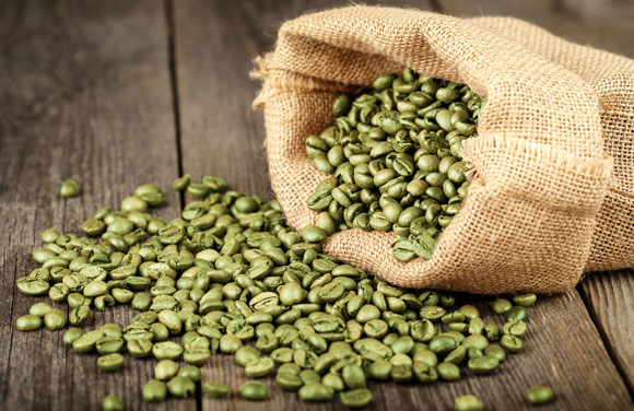 green coffee colheita
