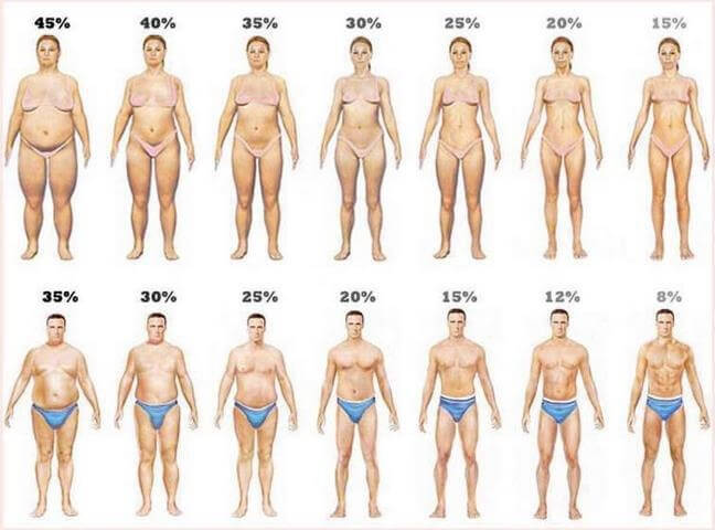 percentual-de-gordura-corporal-corpos