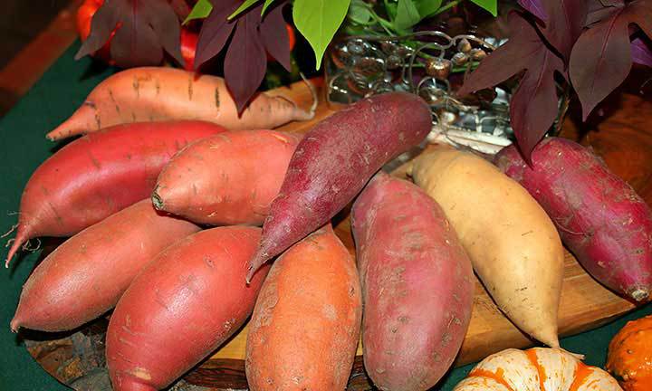 35-sweet-potatoes