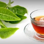 Chá de Goiabeira - Para Que Serve, Indicações e Como Fazer