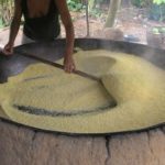 Como Fazer Farinha de Mandioca – 3 Formas e Dicas Especiais