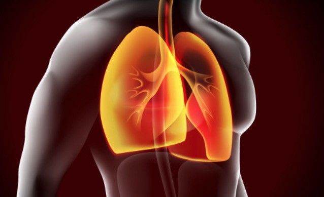 ilustração de um pulmão