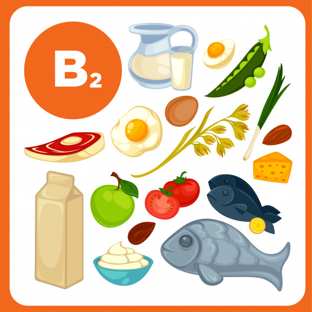 fontes alimentares da vitamina b2