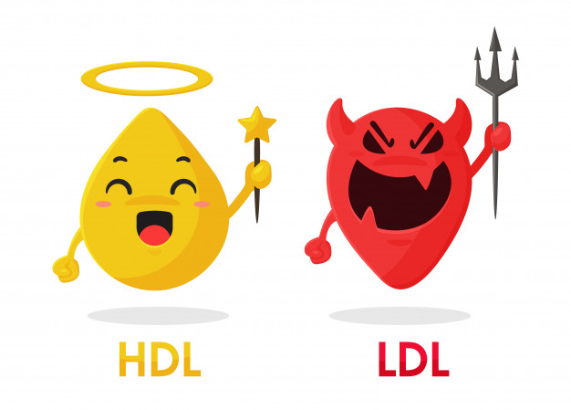 colesterol HDL vs LDL