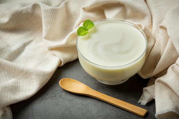 iogurte natural é um alimento rico em iodo
