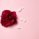 Teste de ovulação - Como funciona e como fazer