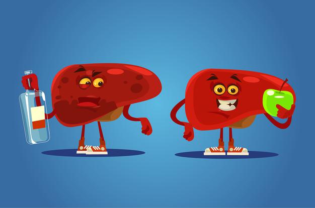 fígado doente vs fígado saudável
