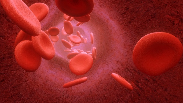 hemoglobina células transportadoras de oxigênio